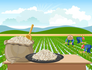 Farm-Direct Sourcing